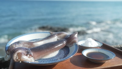 NHK Eテレ「小雪と発酵おばあちゃん 特別編 斎藤工と能登へ」1月22日放送回より、石川・能登の味覚を支える発酵調味料いしり。イカの内臓・イカワタに塩を加え、1年以上漬けて発酵させた日本三大魚醤の1つ