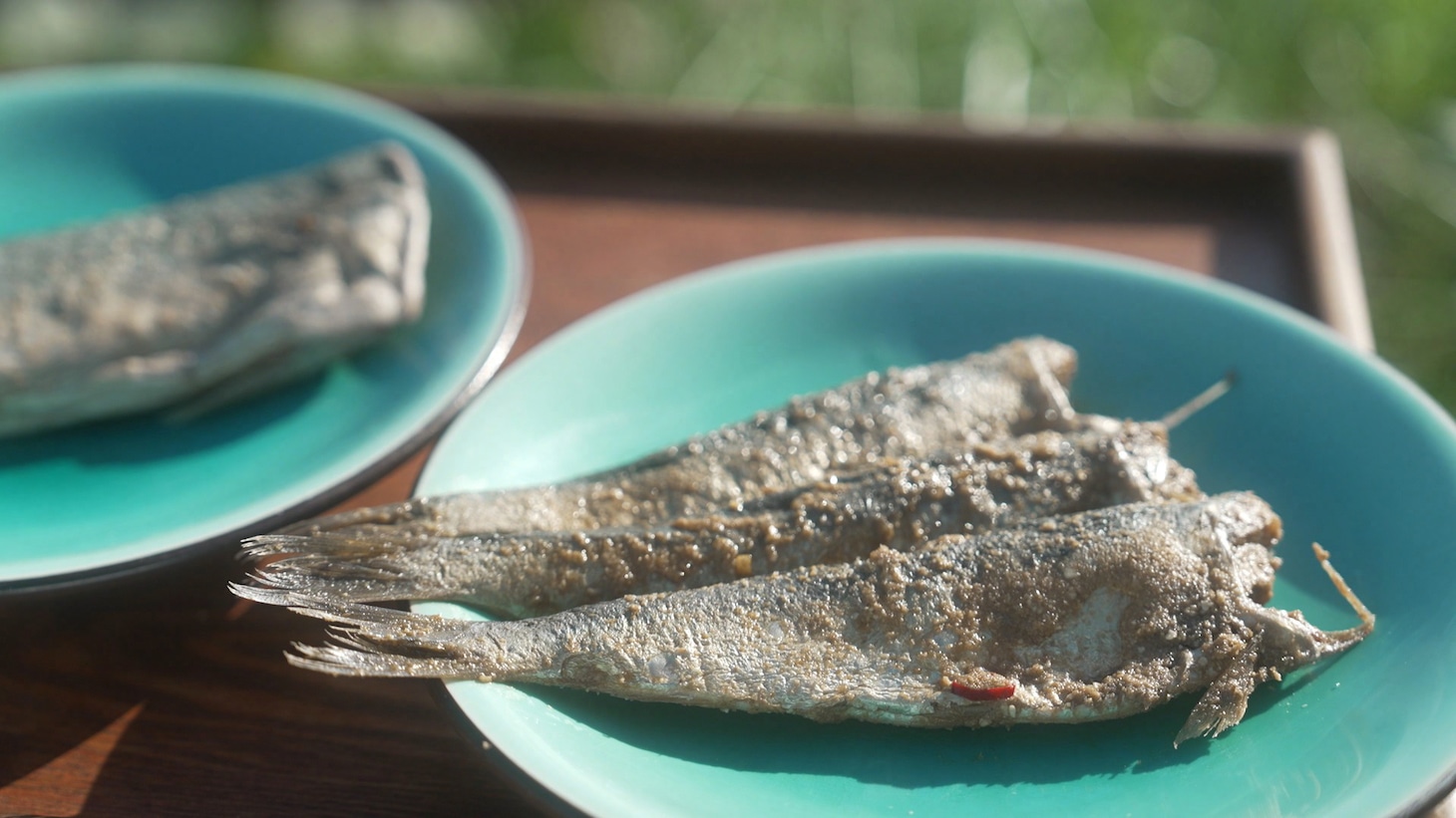 NHK Eテレ「小雪と発酵おばあちゃん 特別編 斎藤工と能登へ」1月15日放送回より、発酵食の宝庫、石川・能登を代表するこんか漬け。“こんか”は米糠（ぬか）という意味で、能登ではサバやイワシなどの魚を糠漬けにする伝統がある