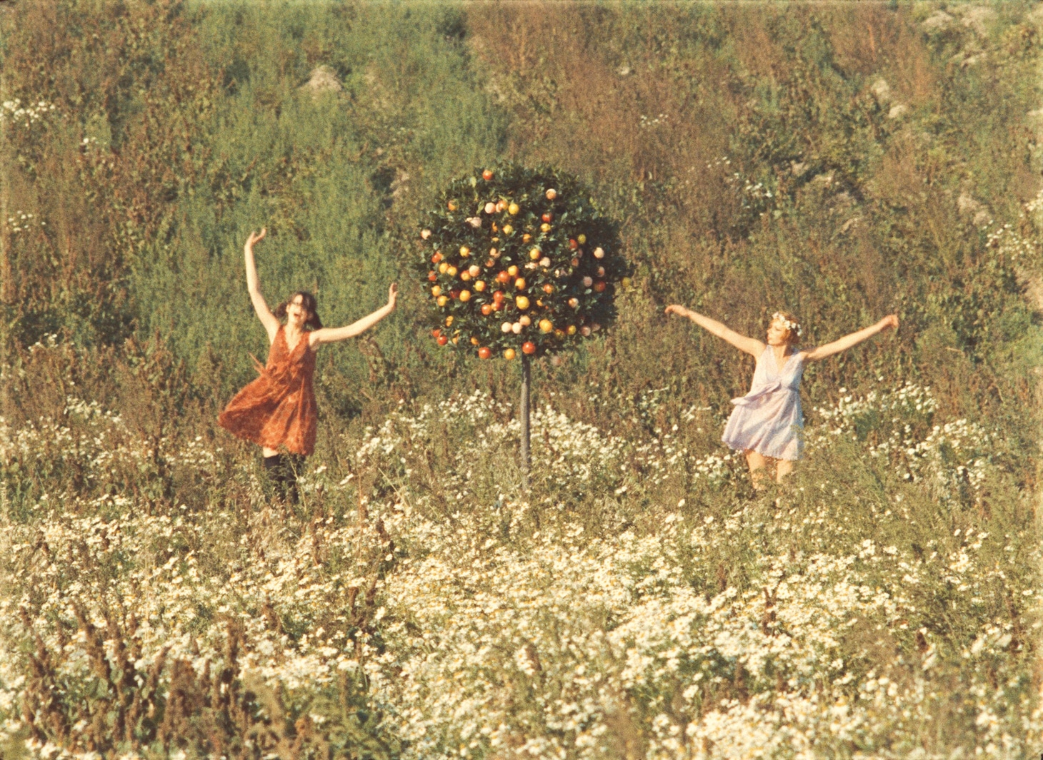 「ひなぎく 4Kレストア版」新場面写真