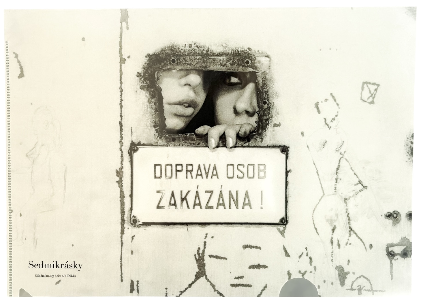 「ひなぎく 4Kレストア版」オフィシャルグッズのクリアファイル