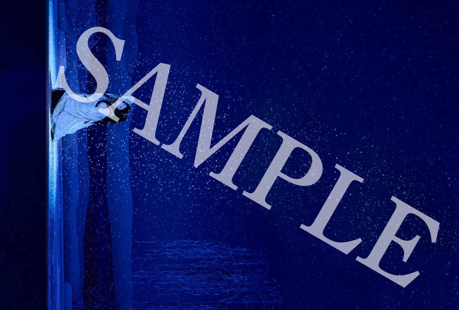 「国宝」入プレ第2弾はポストカード、「二人藤娘」「二人道成寺」「鷺娘」の演目をデザイン