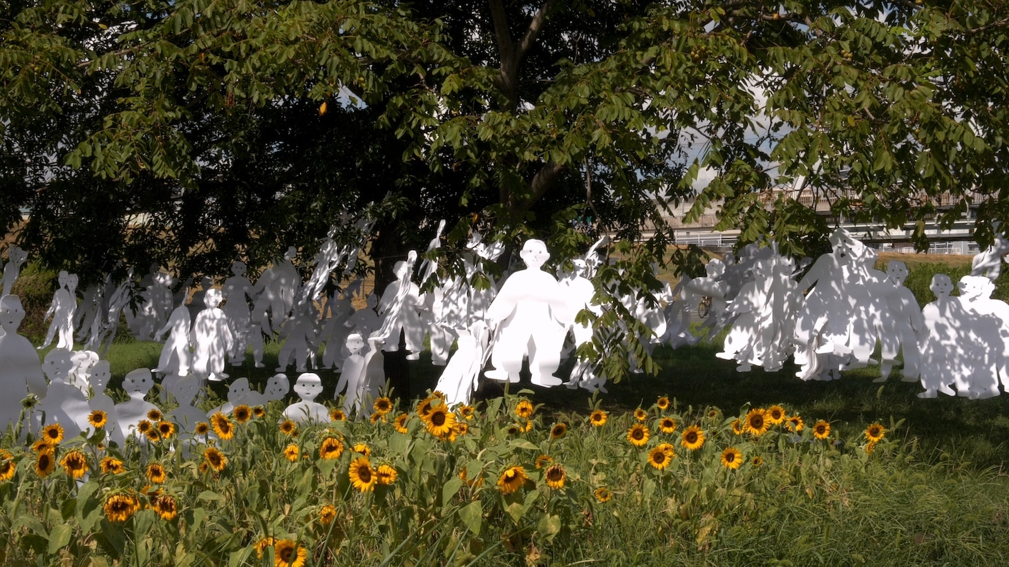 「1923」場面写真