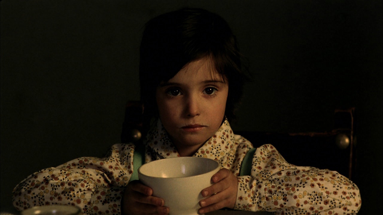 「ミツバチのささやき」場面写真。同作では小さな村で暮らすアナの現実と空想が交錯する世界が描出される
©2005 Video Mercury Films S.A.