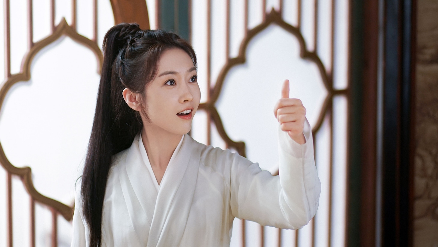 シュエン・ルー（宣璐）演じる容疏狂