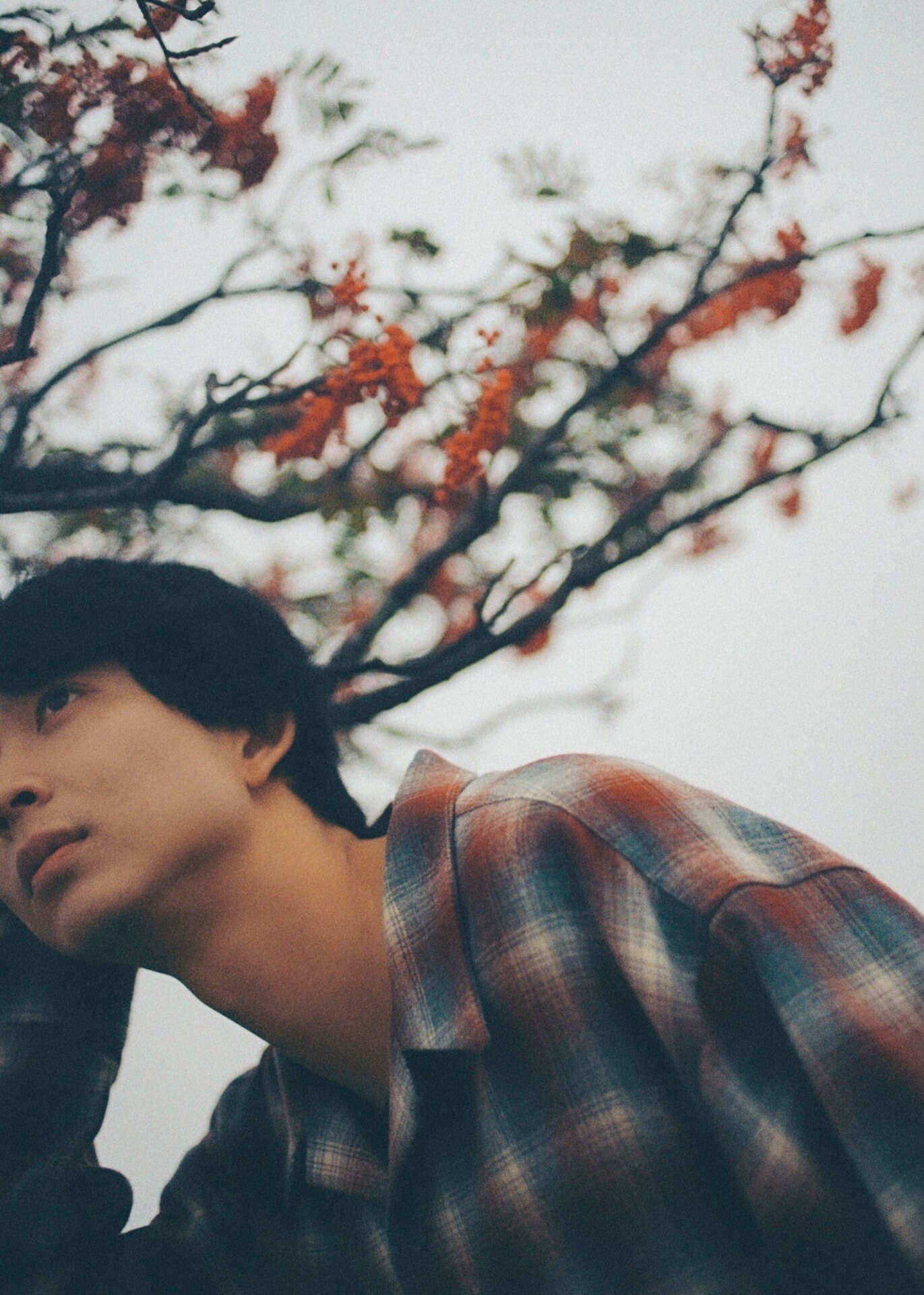鈴木仁の写真展「zjine展」2月開催、カメラマンとして友人・見上愛らを