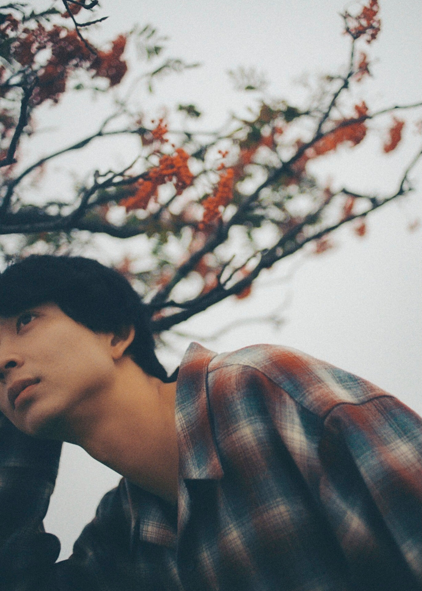 写真展「zjine展 -Unscripted-」展示写真