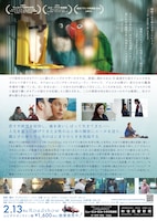 「私のすべて」チラシ裏