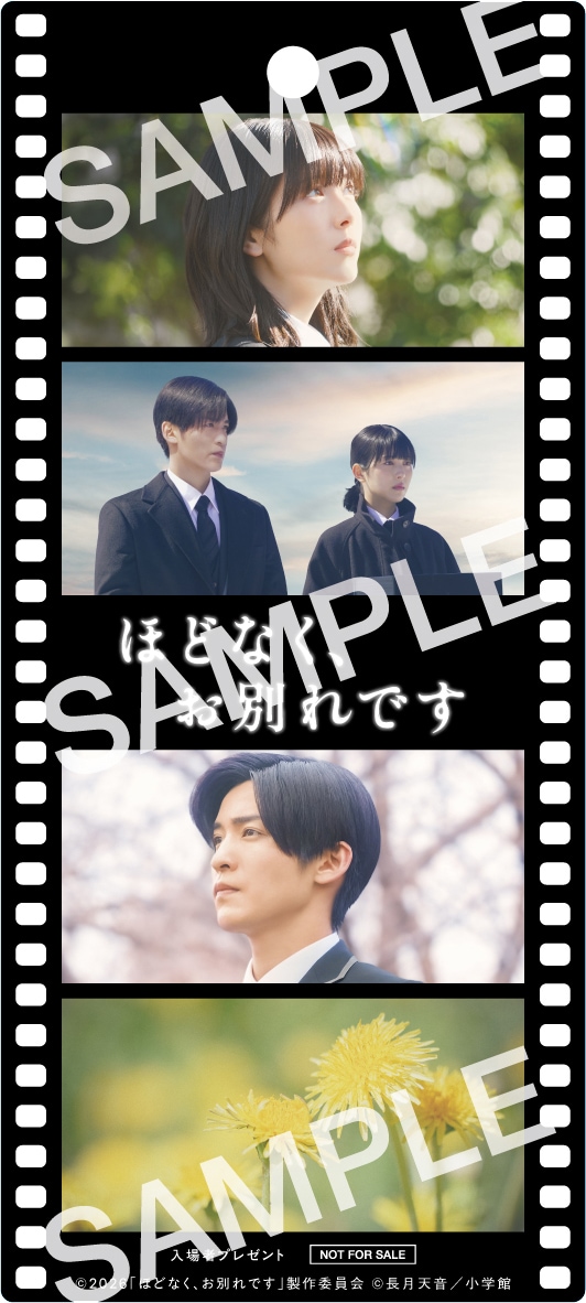 浜辺美波と目黒蓮（Snow Man）がダブル主演を務める映画「ほどなく、お別れです」入場者プレゼントのオリジナルフィルム風しおり。2月6日の公開初日から3日間限定で配布される