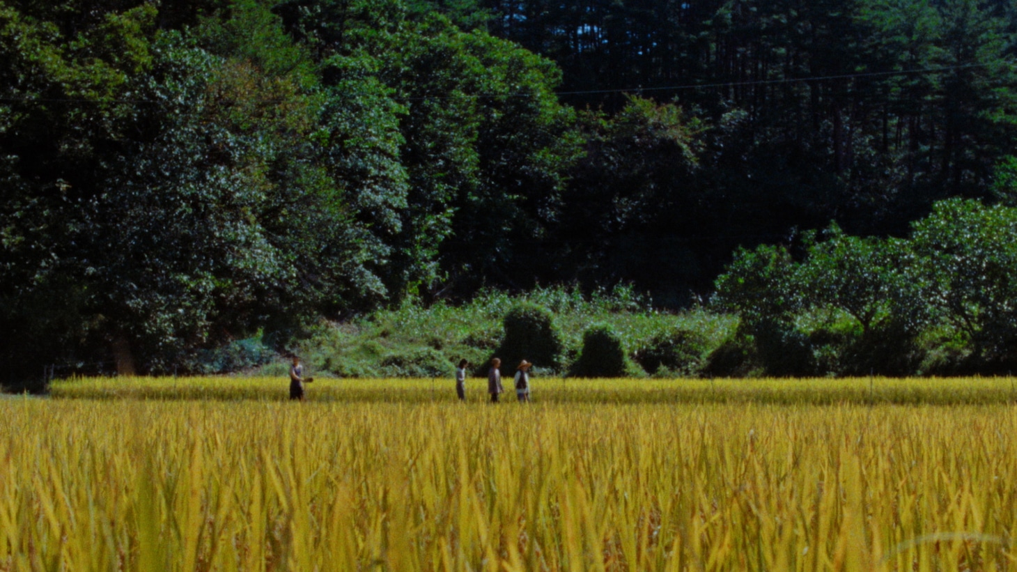 「Riceboy ライスボーイ」場面写真