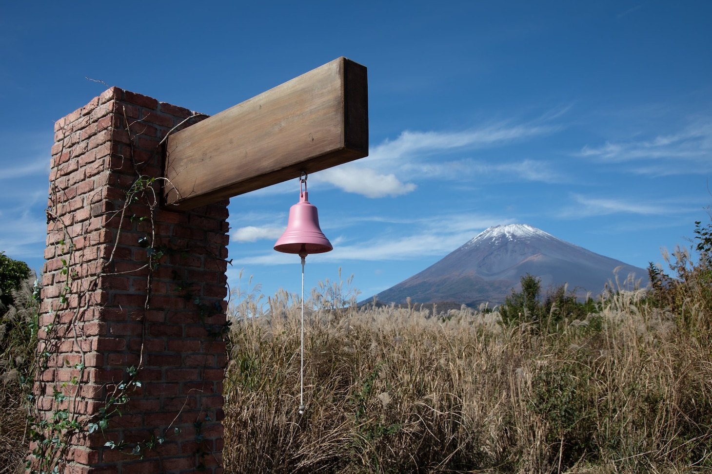 Netflixリアリティシリーズ「あいの里 シーズン3」より