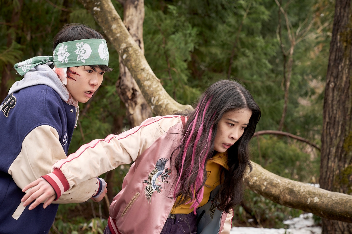 「ヒグマ!!」場面写真