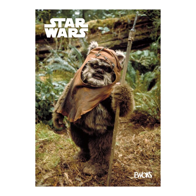 Happyくじ / STAR WARS 『EWOKS』」H賞のポスターイメージ - 「スター