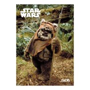 「Happyくじ / STAR WARS 『EWOKS』」H賞のポスターイメージ