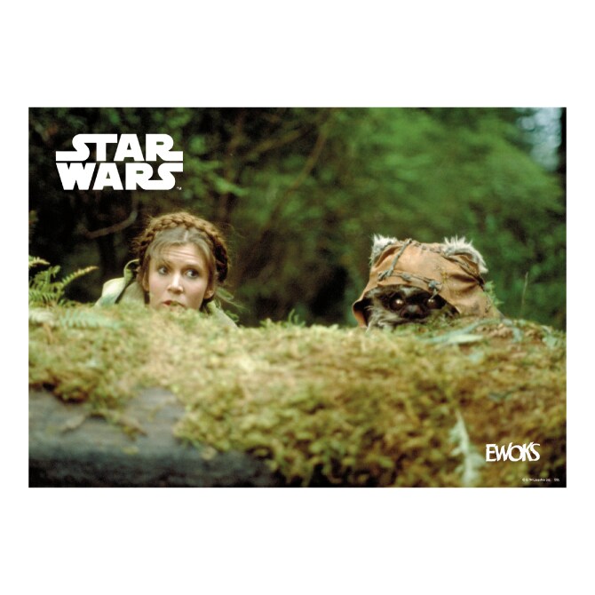 Happyくじ / STAR WARS 『EWOKS』」H賞のポスターイメージ [画像
