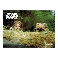 「Happyくじ / STAR WARS 『EWOKS』」H賞のポスターイメージ