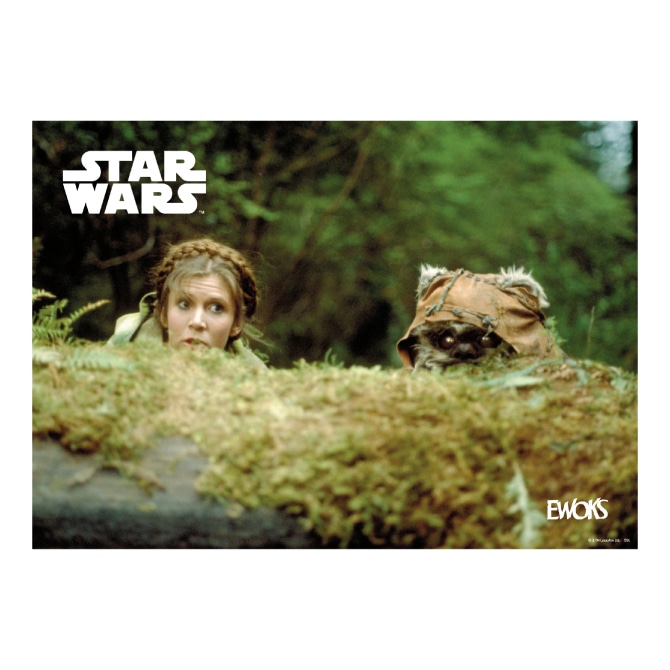 「Happyくじ / STAR WARS 『EWOKS』」H賞のポスターイメージ