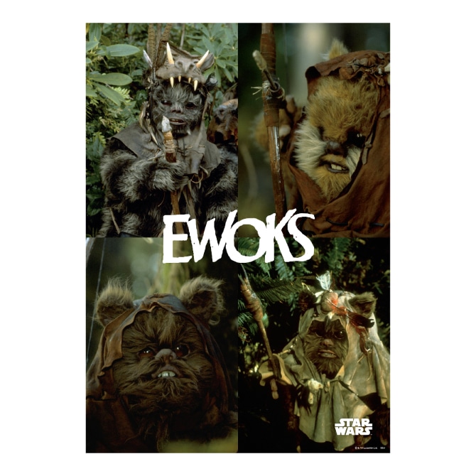 「Happyくじ / STAR WARS 『EWOKS』」H賞のポスターイメージ