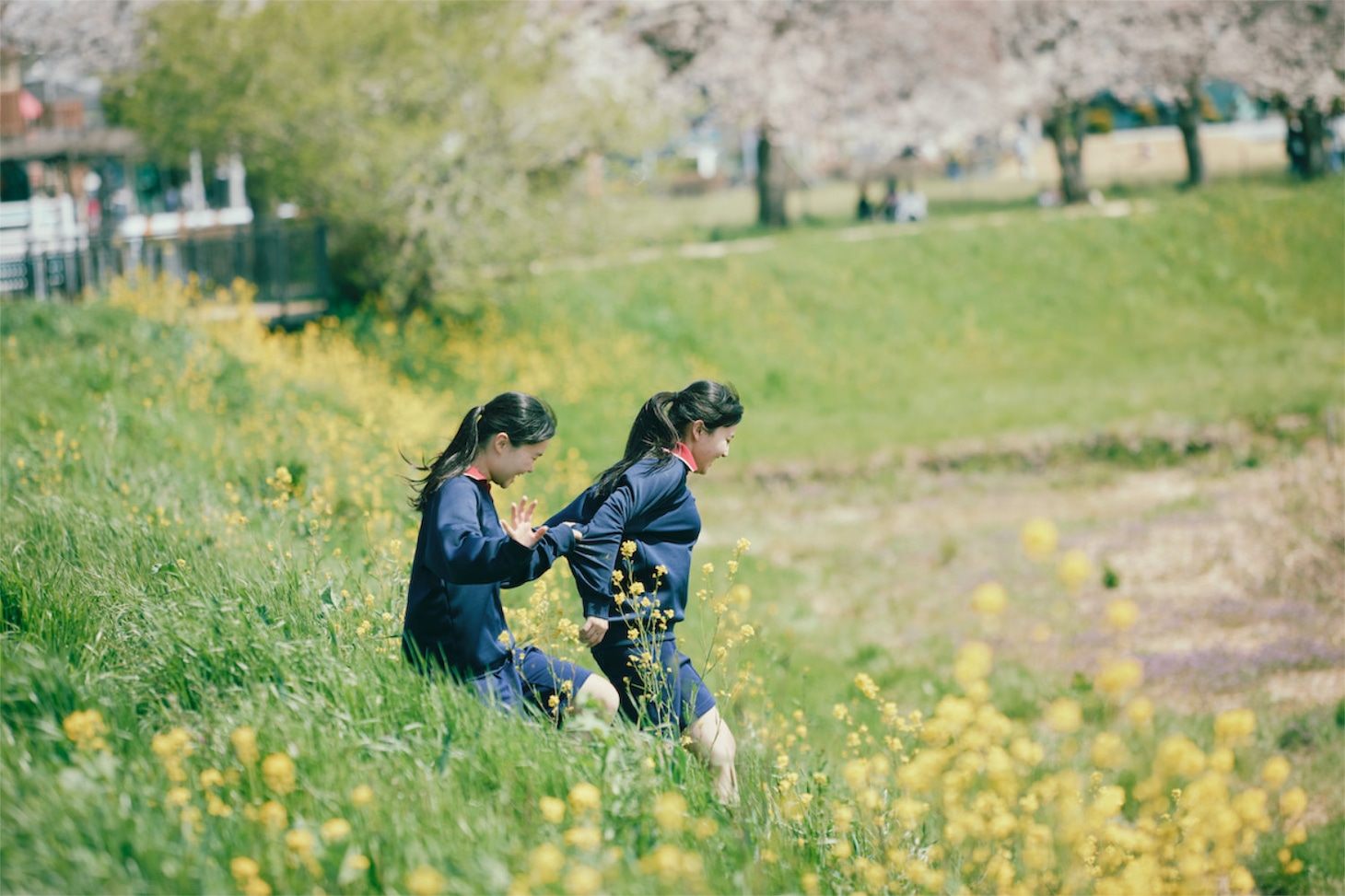 「14歳の栞」場面写真