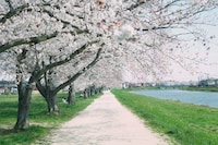 「14歳の栞」場面写真