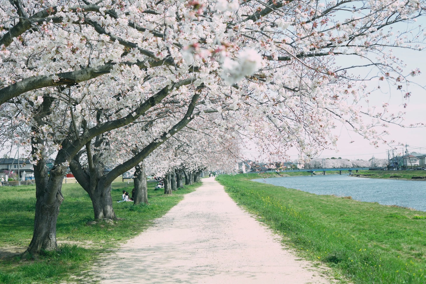 「14歳の栞」場面写真