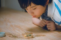 「箱の中の羊」場面写真