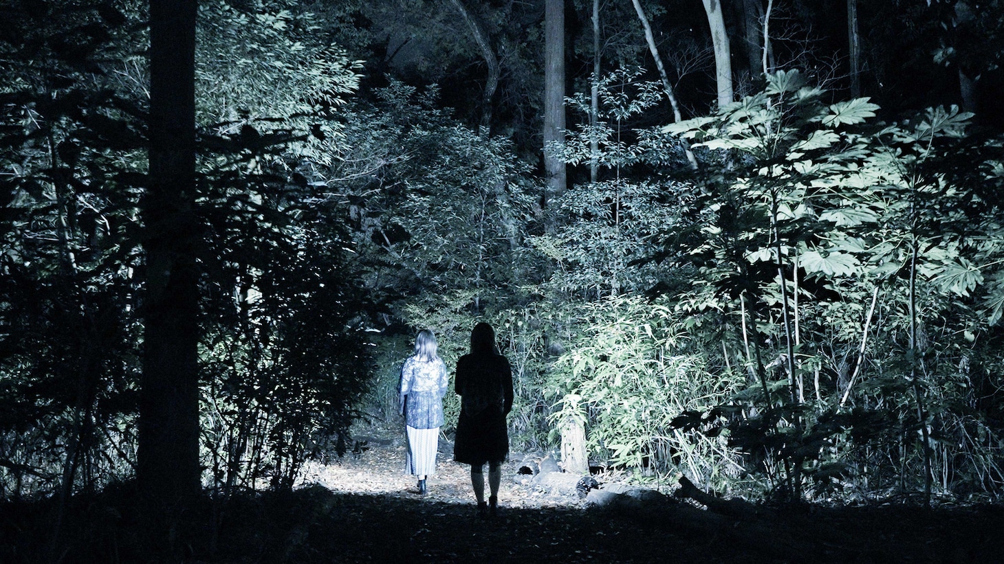 「暝映」場面写真。暗闇で仄かに光るヤコウタケというキノコと、暗闇でイメージがスクリーンに投影される映画というメディアを重ね合わせ「映画とは何か」を問い直す