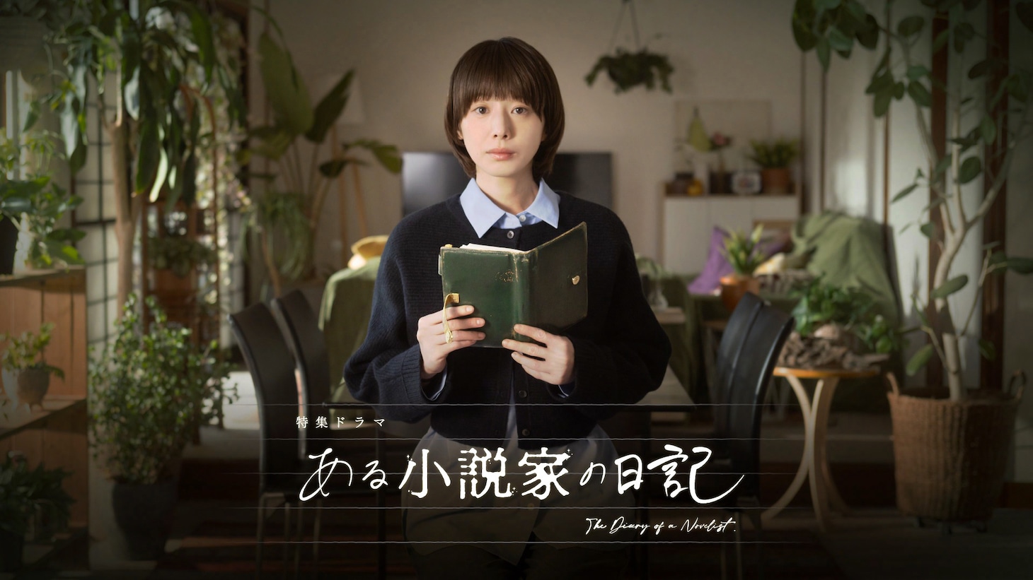 夏帆主演のNHK特集ドラマ「ある小説家の日記」ビジュアル。シルビア・グラブ、板尾創路、松尾諭、林裕太もキャストに名を連ねた
