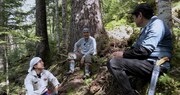 ドキュメンタリー映画「森に聴くListen to the Forest」場面写真
