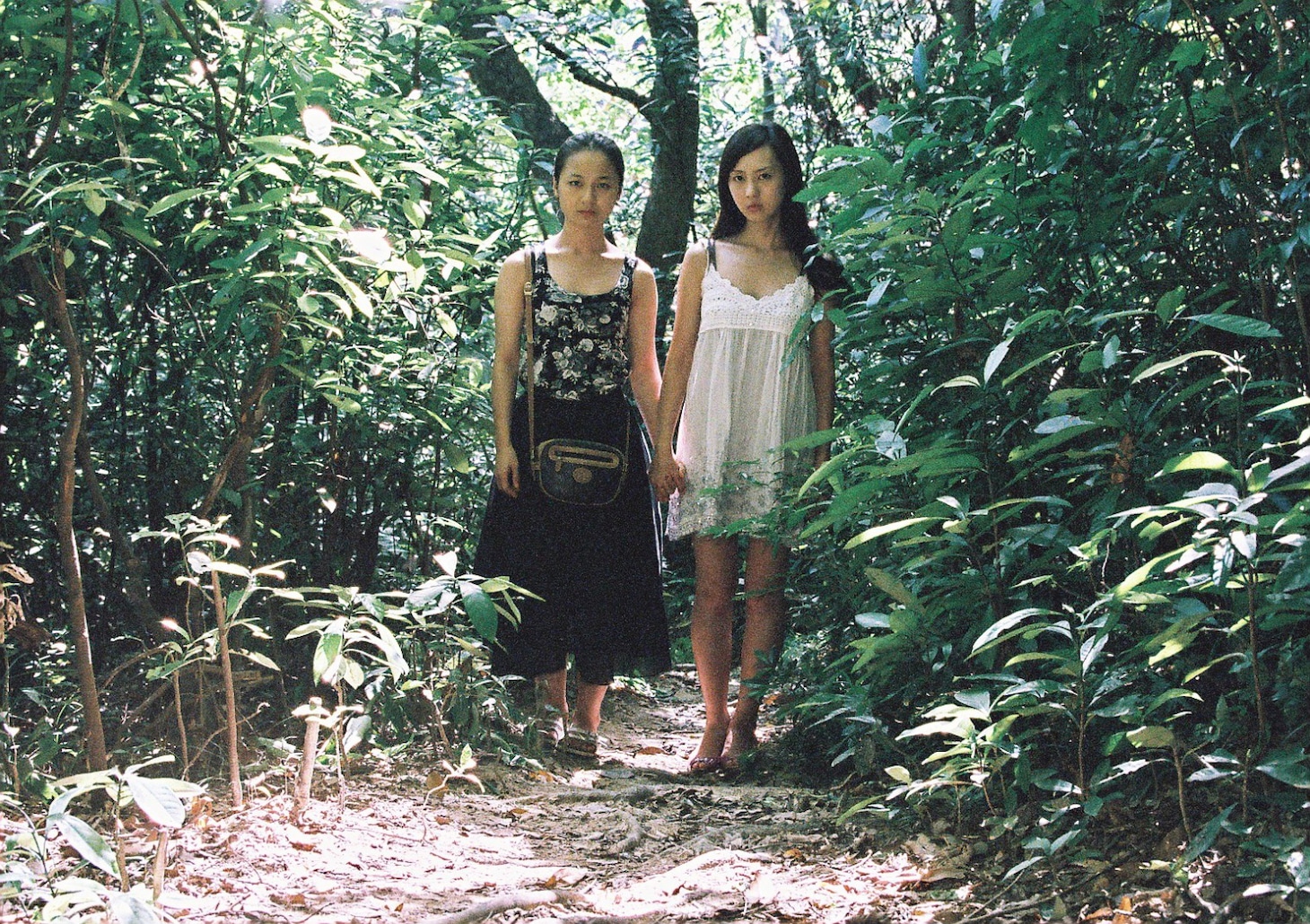 「マジック＆ロス」場面写真