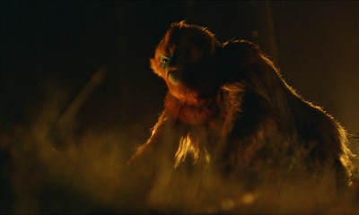 「OCHI！-オチ-」場面写真