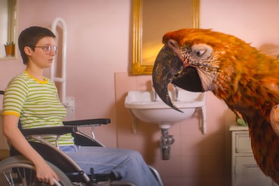 「終わりの鳥」場面写真 ©DEATH ON A TUESDAY LLC / THE BRITISH FILM INSTITUTE / BRITISH BROADCASTING CORPORATION 2024