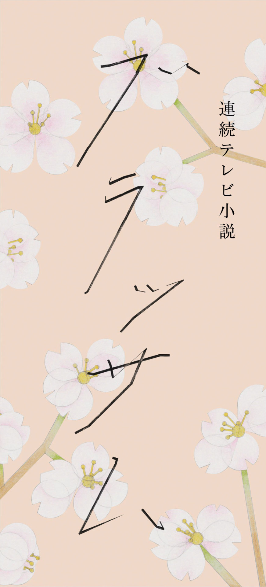 2026年度後期の連続テレビ小説「ブラッサム」ロゴ