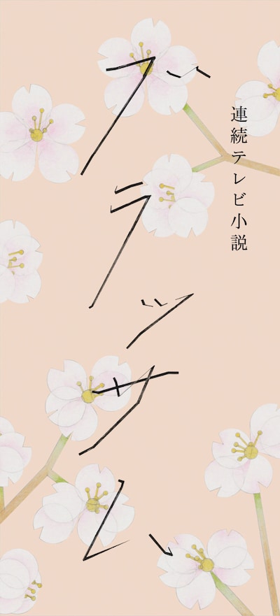 2026年度後期の連続テレビ小説「ブラッサム」ロゴ