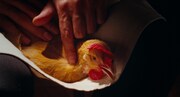 「鶏・The Chicken」場面写真 ©2020 Zakkubala