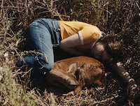 「落下音」新場面写真。死んだ子鹿に寄り添うアンゲリカ