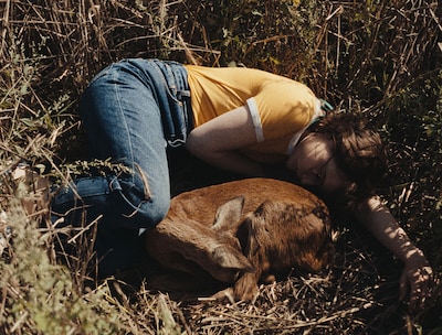 「落下音」新場面写真。死んだ子鹿に寄り添うアンゲリカ