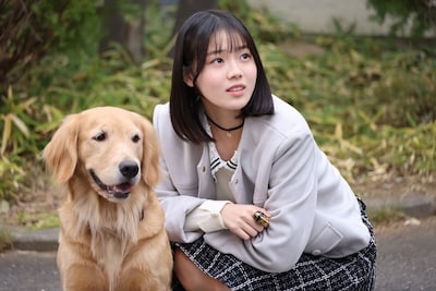 「ナンバーワン戦隊ゴジュウジャーVSブンブンジャー」場面写真。迷い犬と志田こはく演じる一河角乃