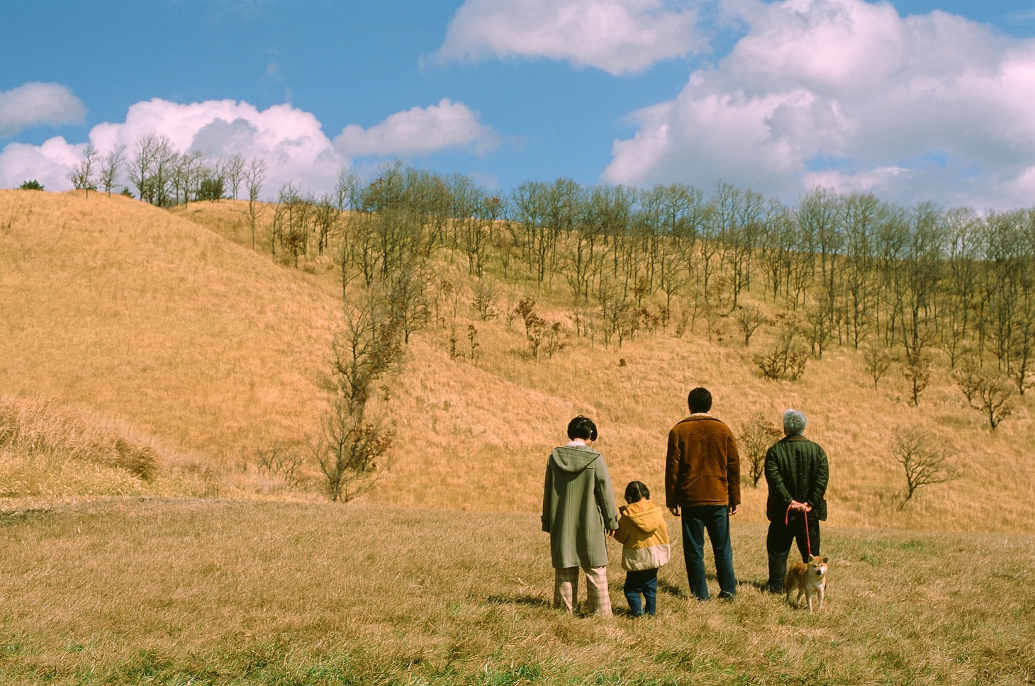 映画「メモリィズ」場面写真