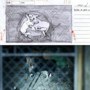 「トゥギャザー」監督のマイケル・シャンクスによる画コンテと本編画像