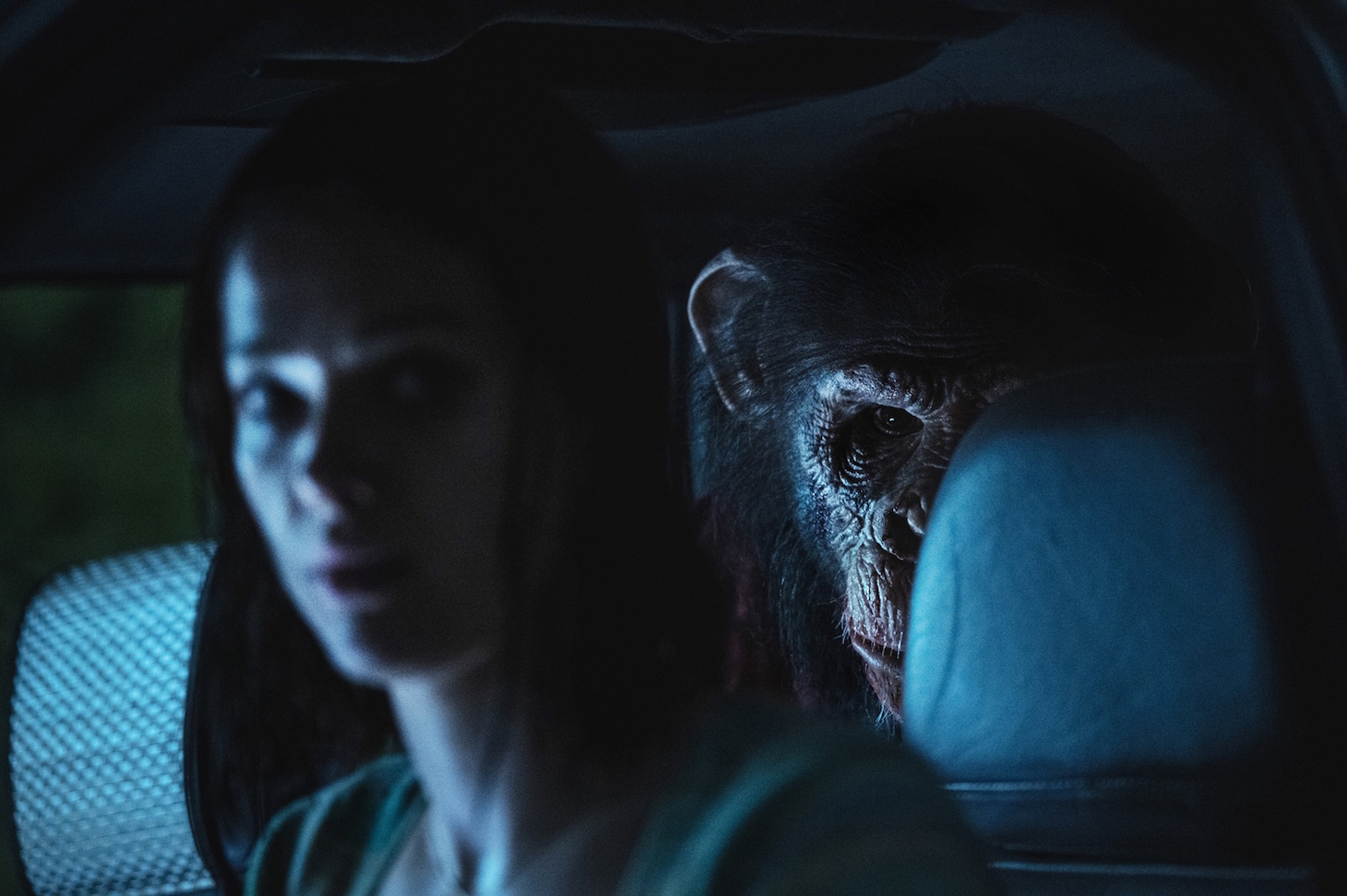 「おさるのベン」場面写真