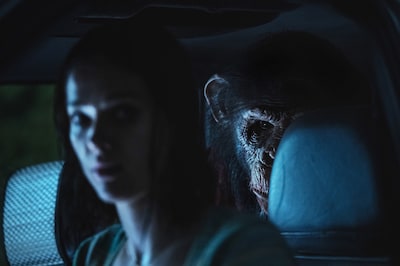 「おさるのベン」場面写真