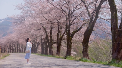 「おばあちゃんの秘密」場面写真