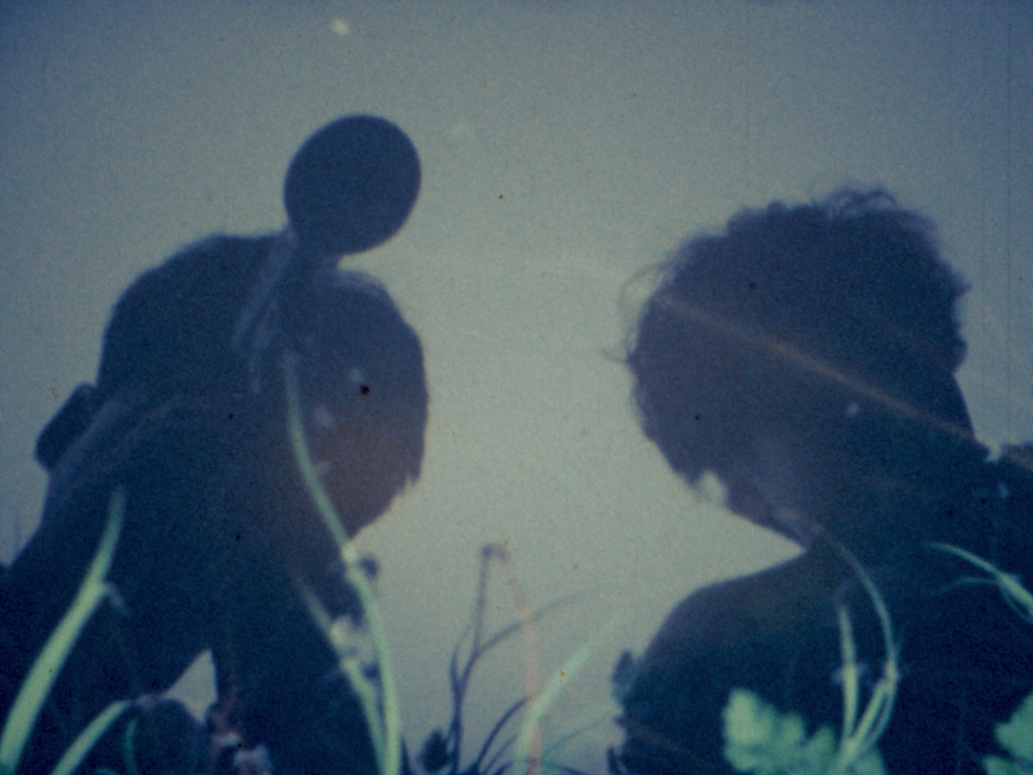 「遊泳禁止」場面写真