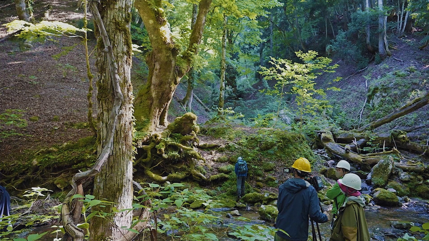 「WITH」場面写真