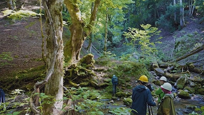 「WITH」場面写真