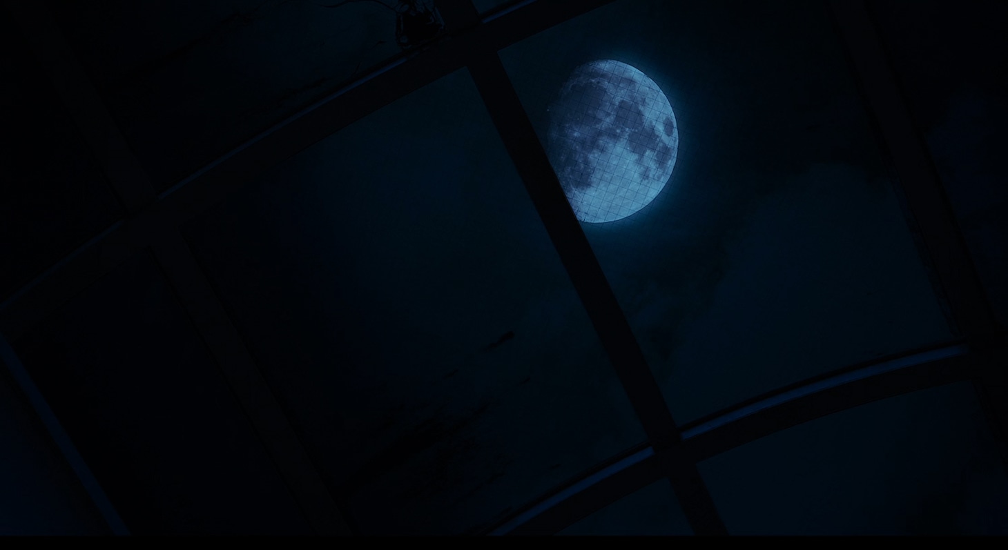 「月の犬」場面写真