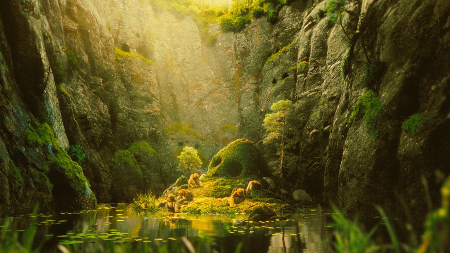 不思議な生き物・オチの生態に迫る特別映像より。オチの住処。奥深い森の中、幻想的な洞窟に棲む