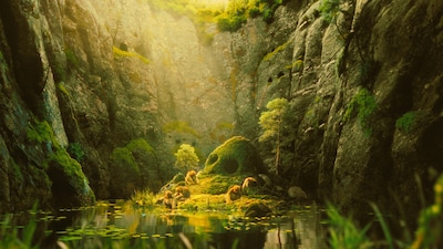 不思議な生き物・オチの生態に迫る特別映像より。オチの住処。奥深い森の中、幻想的な洞窟に棲む