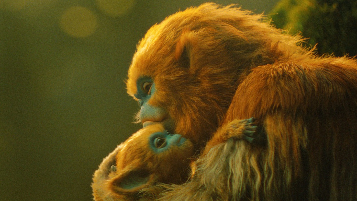 不思議な生き物・オチの生態に迫る特別映像より。オチの親子。人間からは恐れられている存在だが、実際はとても温厚な性格だという