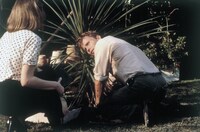 「オニオン・フィールド」場面写真 ©1979 Black Marble Productions Inc.